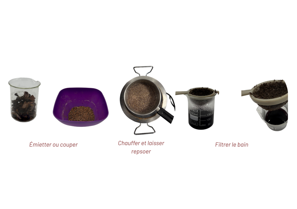 Recette Cortinaire sanguin