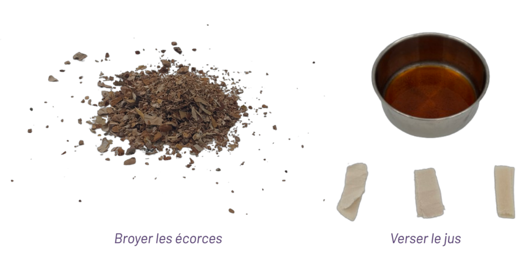 Recette Bouleau