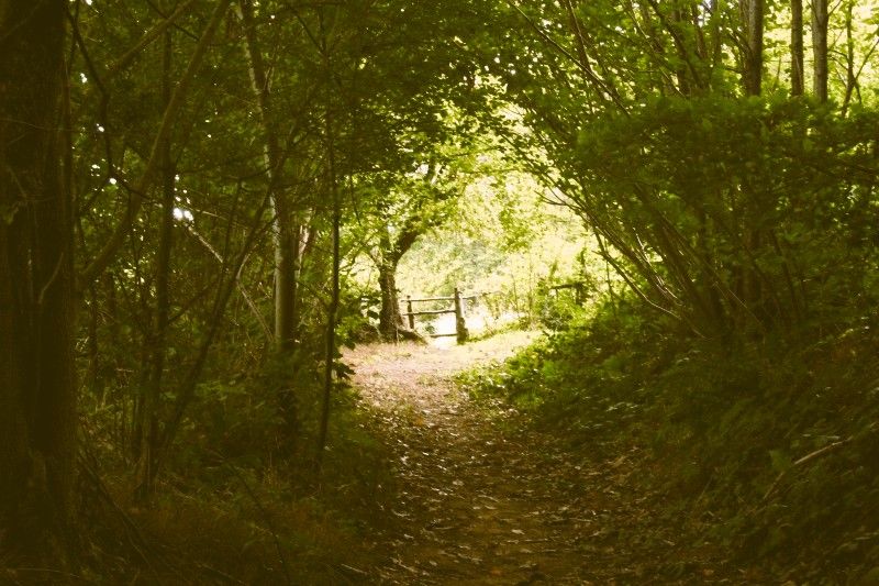 chemin-creux.jpg